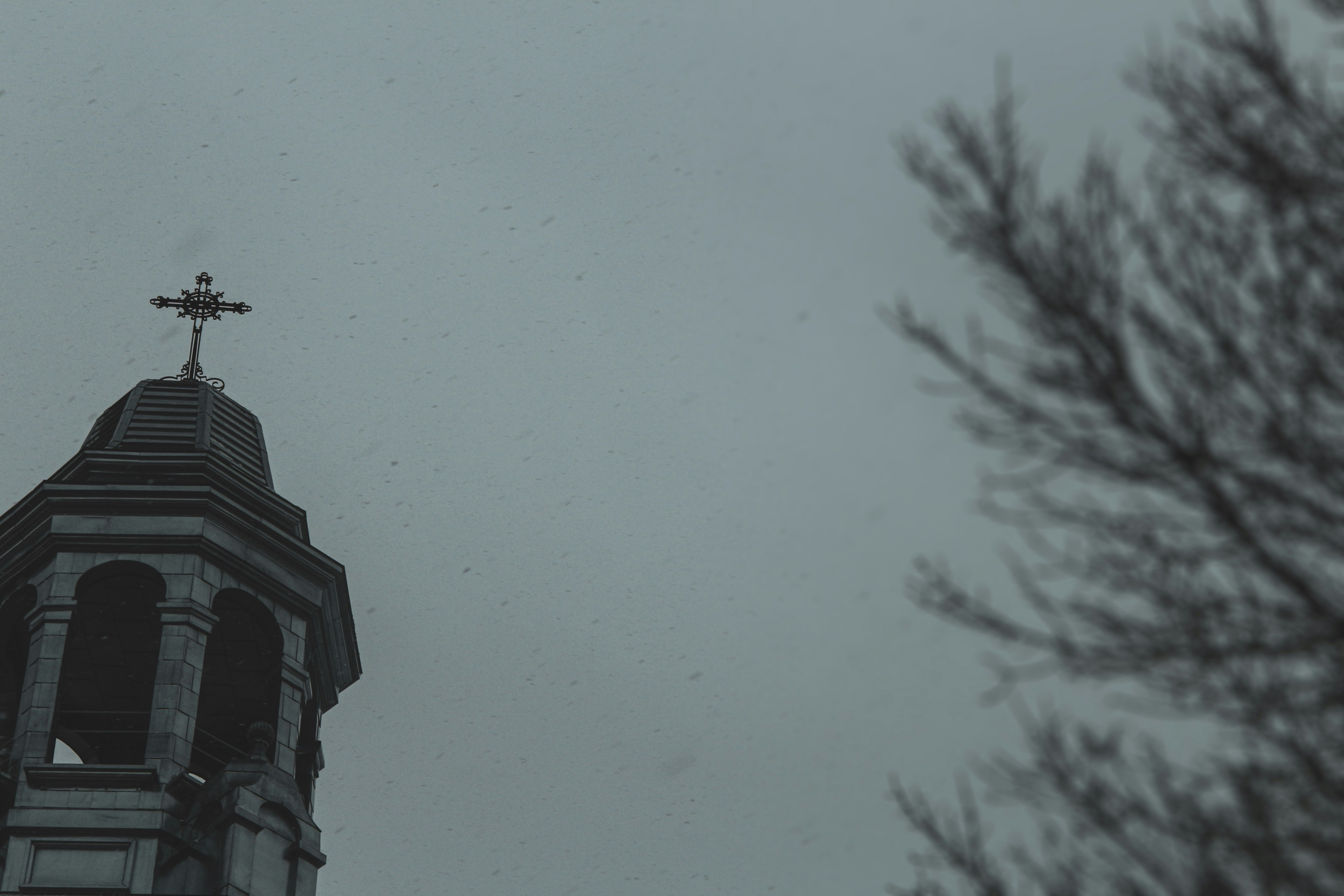 black bird flying over the building